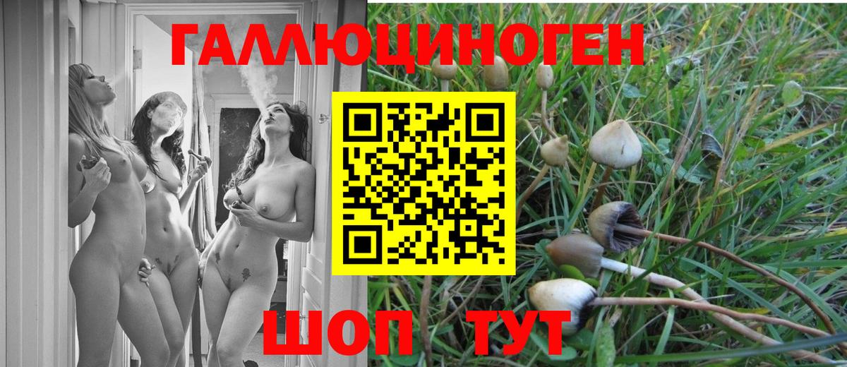 Галлюциногенные грибы ЛСД  Вход с VPN  Баксан 