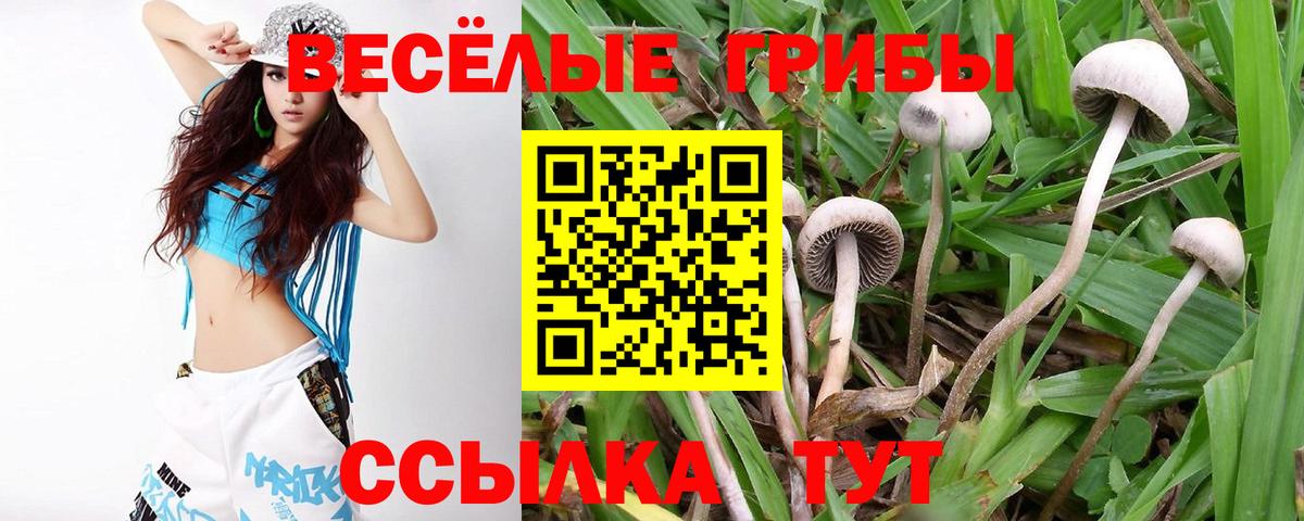 Галлюциногенные грибы Cubensis Баксан